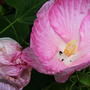 6-30-08_055