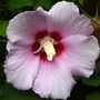 6-30-08_058
