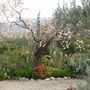 Spanish_pics_025