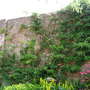Garden_0708_002