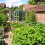 veg garden