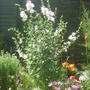 28th_april_08_205