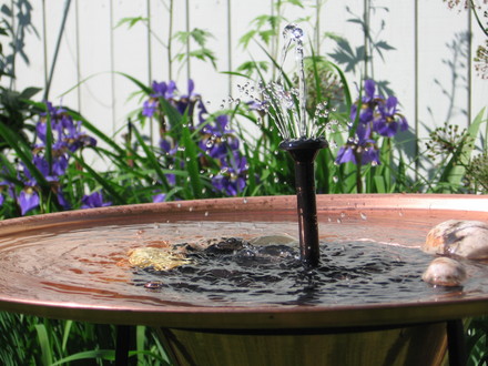 birdbath