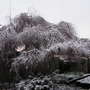 Pict0373
