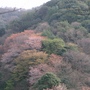 Cimg3647