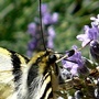 P1020638_1