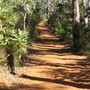 Bush_track