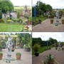 garden photo