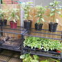 July_6th_08_009