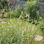 July_6th_08_006