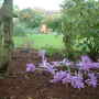 Dscf0017