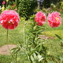 July_6th_08_001