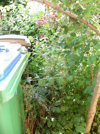 wheely bin hiding place