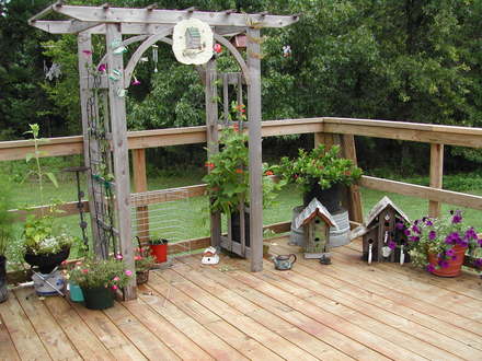 Assorted plants on the Deck