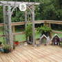 Assorted plants on the Deck