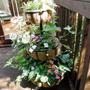 Copy_of_garden_470
