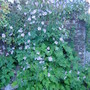 Dsc01213