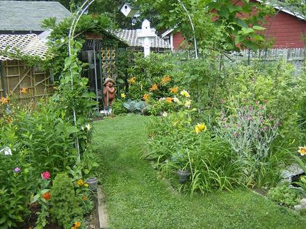 Back Garden