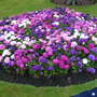 Display@Lister Park,Bradford,UK