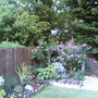 back garden 1