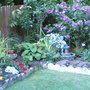 Back_garden_2