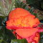 July08_022