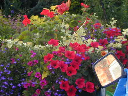 Hanging basket