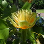 2008_070608vacation0048