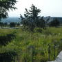 2008_070608vacation0068