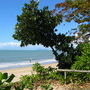 Vegetation at water's edge.