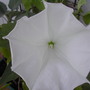 July72008_012