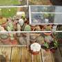 Picture_181