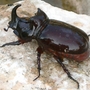 Spanish_pics_057