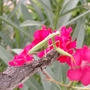 Spanish_pics_084