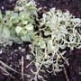 2008-07-01_2008
