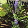 2008-07-06_020