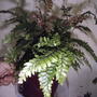2008-07-082_042