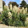 Lanhydrock House