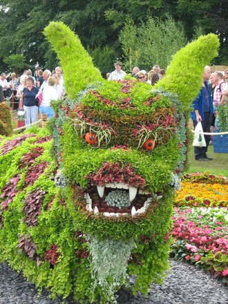 Eyebrows! (RHS Show Tatton Park, Cheshire)