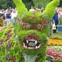 Eyebrows! (RHS Show Tatton Park, Cheshire)