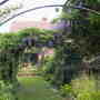 Back_garden