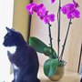 Febe Sitting With My Orchid In Full Bloom 