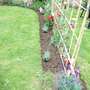 Just Edgeing The Lawn!