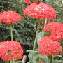 July08_2__006