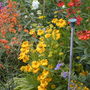 July08_2__028