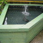 Our new pond