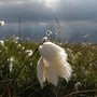 Copy__2__of_walk_046