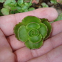 Dsc01614