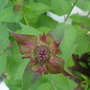Dsc01610