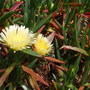 Dscf1372